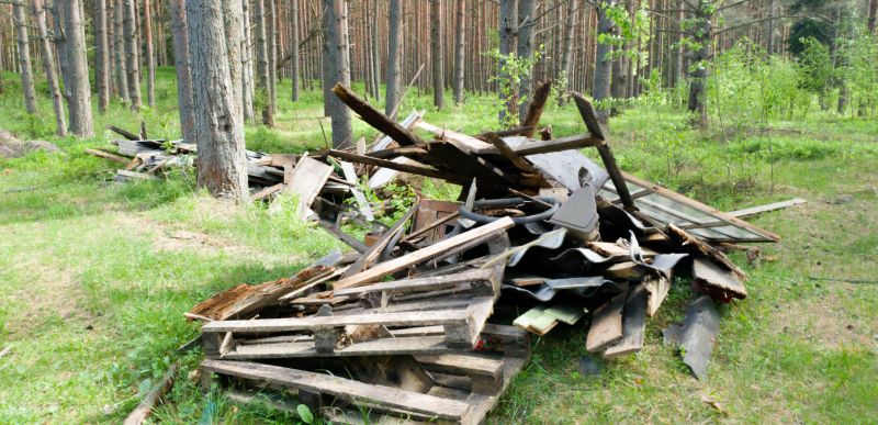 Debris Removal Service in Roseville, CA