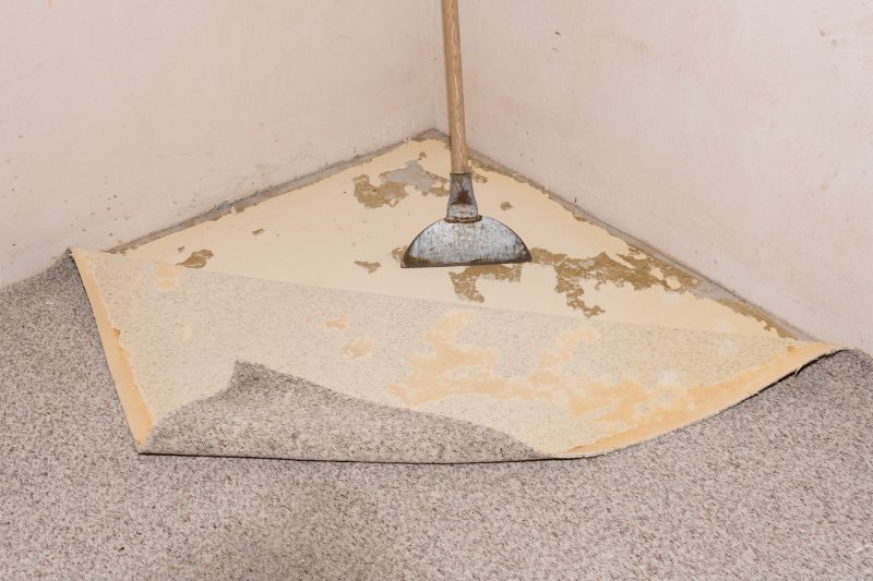 Carpet Removal Service in Roseville, CA