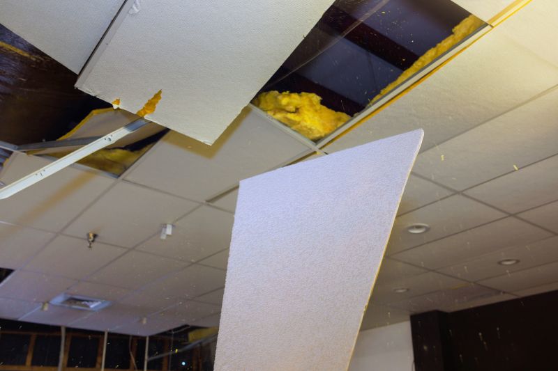 Ceiling Demolition Service in Sacramento, CA