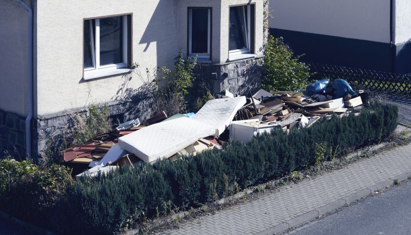 Clutter Removal Service in Roseville, CA